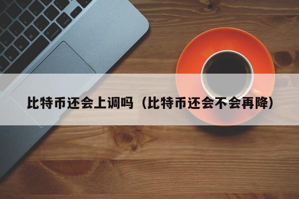 比特币还会上调吗(比特币还会不会再降)