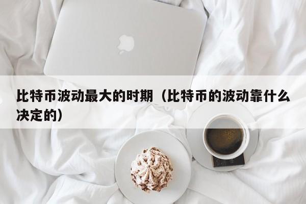 比特币波动最大的时期(比特币的波动靠什么决定的)