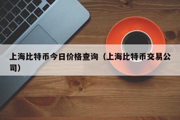 上海比特币今日价格查询(上海比特币交易公司)