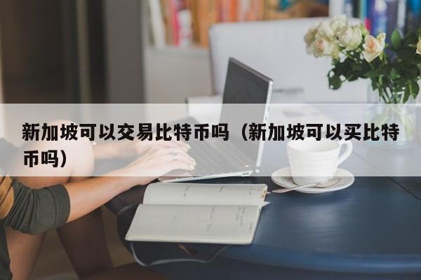 新加坡可以交易比特币吗(新加坡可以买比特币吗)